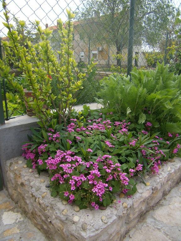 Apartment Slavica لازوفاك المظهر الخارجي الصورة
